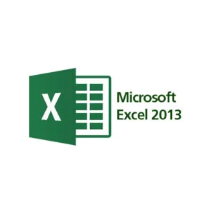 Microsoft excel 2013