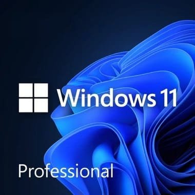 Windows 11 pro